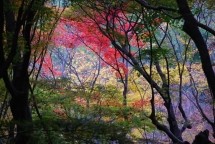 Herbst in Kyoto